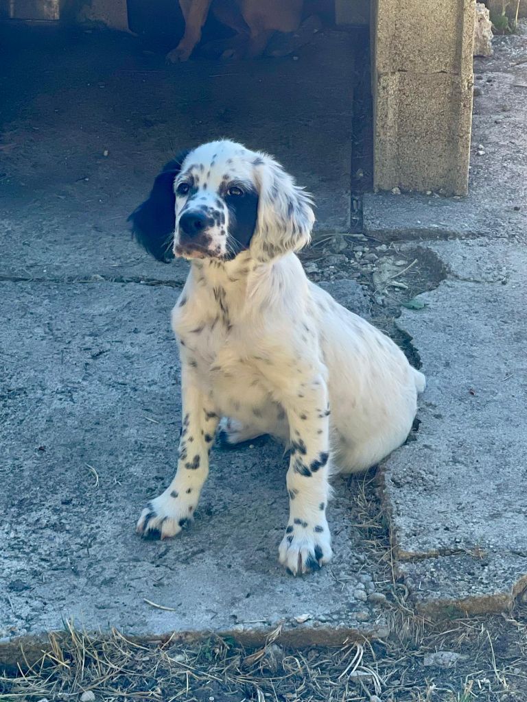 Asco De La Croix Sainte Victoire