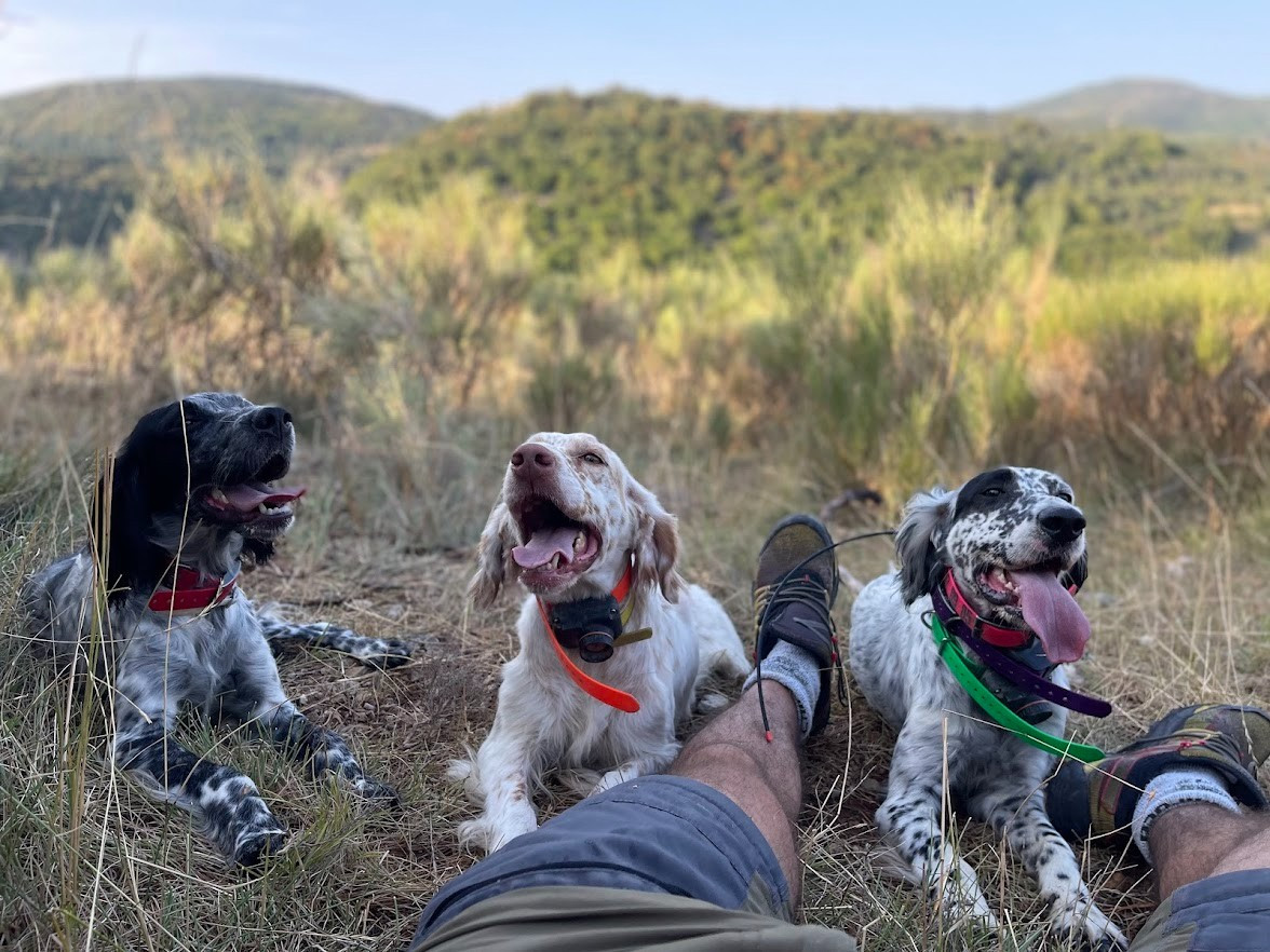Roxane du Parc des Chaumes